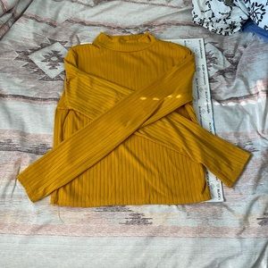 Long sleeve, short turtle neck